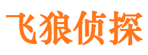 南平市私家侦探